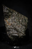 21483 - NWA Unclassified Chondrite Meteorite 15.2g Polished Section