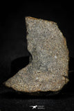 21484 - NWA Unclassified Chondrite Meteorite L Type 10.3g Polished Section