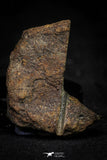 21484 - NWA Unclassified Chondrite Meteorite L Type 10.3g Polished Section