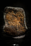 07110 - Taza (NWA 859) Iron Ungrouped Plessitic Octahedrite Meteorite 2.3g ORIENTED