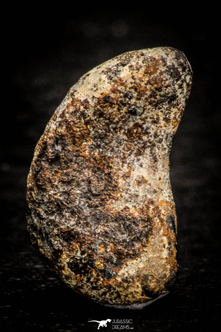 07111 - Taza (NWA 859) Iron Ungrouped Plessitic Octahedrite Meteorite 2.5g ORIENTED