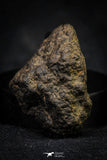 21487 - NWA Unclassified Chondrite Meteorite 9.1g Polished Section