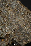 21487 - NWA Unclassified Chondrite Meteorite 9.1g Polished Section