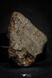21487 - NWA Unclassified Chondrite Meteorite 9.1g Polished Section