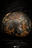 07117 - Taza (NWA 859) Iron Ungrouped Plessitic Octahedrite Meteorite 1.8g ORIENTED
