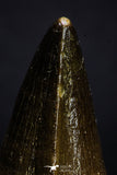 20359 - Well Preserved 2.04 Inch Mosasaur (Prognathodon anceps) Tooth