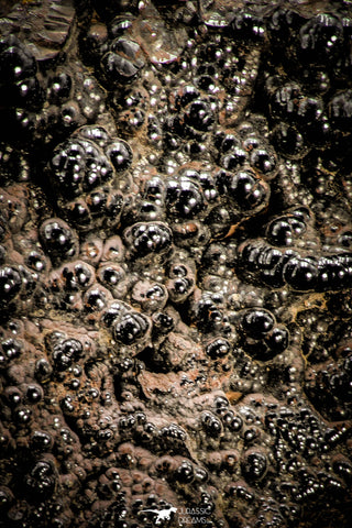 06858 - Botryoidal Goethite Cluster - Taouz, Morocco