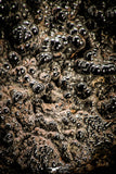 06858 - Botryoidal Goethite Cluster - Taouz, Morocco