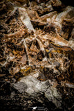 06860 - Top Beautiful 3.64 Inch Barite Crystals