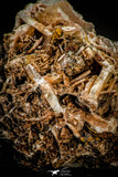 06860 - Top Beautiful 3.64 Inch Barite Crystals