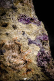 06861 -  Pink Cobaltoan Calcite Crystals on Matrix - Bou Azzer Mine (South Morocco)