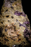 06861 -  Pink Cobaltoan Calcite Crystals on Matrix - Bou Azzer Mine (South Morocco)