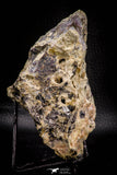 06861 -  Pink Cobaltoan Calcite Crystals on Matrix - Bou Azzer Mine (South Morocco)