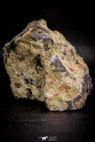 06861 -  Pink Cobaltoan Calcite Crystals on Matrix - Bou Azzer Mine (South Morocco)