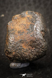 07519 - Partial NWA L-H Type Unclassified Ordinary Chondrite Meteorite 11.0g