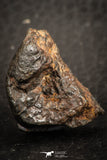 07519 - Partial NWA L-H Type Unclassified Ordinary Chondrite Meteorite 11.0g