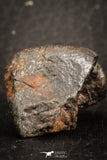 07519 - Partial NWA L-H Type Unclassified Ordinary Chondrite Meteorite 11.0g