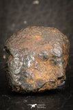 07519 - Partial NWA L-H Type Unclassified Ordinary Chondrite Meteorite 11.0g