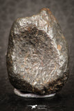 07523 - Fully Complete NWA L-H Type Unclassified Ordinary Chondrite Meteorite 10.0g