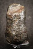 07523 - Fully Complete NWA L-H Type Unclassified Ordinary Chondrite Meteorite 10.0g