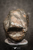07523 - Fully Complete NWA L-H Type Unclassified Ordinary Chondrite Meteorite 10.0g