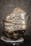 07523 - Fully Complete NWA L-H Type Unclassified Ordinary Chondrite Meteorite 10.0g