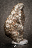 07525 - Partial NWA L-H Type Unclassified Ordinary Chondrite Meteorite 7.0g