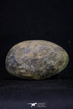 20376 - Top Beautiful Cut and Polished 2.50 Inch Septarian Nodule from South Morocco