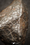 07526 - Partial NWA L-H Type Unclassified Ordinary Chondrite Meteorite 8.0g