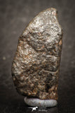 07526 - Partial NWA L-H Type Unclassified Ordinary Chondrite Meteorite 8.0g