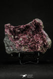 20379 -  Nice Pink Erythrite Crystals on Matrix - Bou Azzer Mine (South Morocco)
