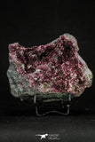 20379 -  Nice Pink Erythrite Crystals on Matrix - Bou Azzer Mine (South Morocco)
