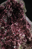 20379 -  Nice Pink Erythrite Crystals on Matrix - Bou Azzer Mine (South Morocco)