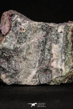 20379 -  Nice Pink Erythrite Crystals on Matrix - Bou Azzer Mine (South Morocco)