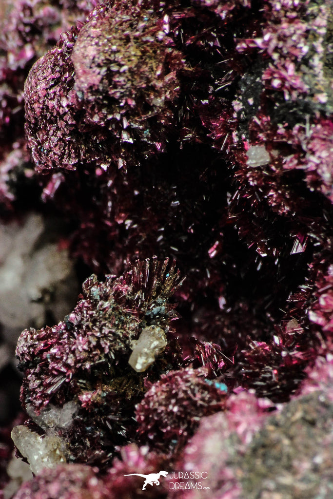 20379 -  Nice Pink Erythrite Crystals on Matrix - Bou Azzer Mine (South Morocco)