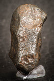 07527 - Fully Complete NWA L-H Type Unclassified Ordinary Chondrite Meteorite 9.0g