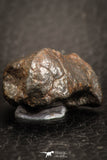 07527 - Fully Complete NWA L-H Type Unclassified Ordinary Chondrite Meteorite 9.0g