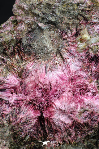 20380 -  Nice Pink Erythrite Crystals on Matrix - Bou Azzer Mine (South Morocco)