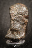 07527 - Fully Complete NWA L-H Type Unclassified Ordinary Chondrite Meteorite 9.0g