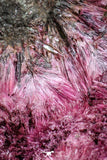 20380 -  Nice Pink Erythrite Crystals on Matrix - Bou Azzer Mine (South Morocco)