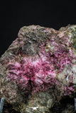 20380 -  Nice Pink Erythrite Crystals on Matrix - Bou Azzer Mine (South Morocco)
