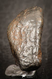 07528 - Fully Complete NWA L-H Type Unclassified Ordinary Chondrite Meteorite 8.0g