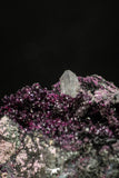20381- Beautiful 2.12 Inch Roselite from Bou Azzer Mines - South Morocco