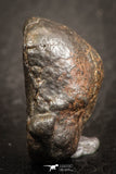 07528 - Fully Complete NWA L-H Type Unclassified Ordinary Chondrite Meteorite 8.0g