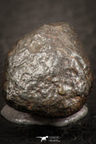 07529 - Fully Complete NWA L-H Type Unclassified Ordinary Chondrite Meteorite 6.0g