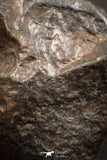 07533 - Partial NWA L-H Type Unclassified Ordinary Chondrite Meteorite 4.0g