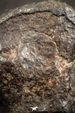 07533 - Partial NWA L-H Type Unclassified Ordinary Chondrite Meteorite 4.0g