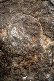 07533 - Partial NWA L-H Type Unclassified Ordinary Chondrite Meteorite 4.0g