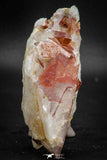 08264 - Top Beautiful 3.54 Inch Natural Red Iron-Oxide Coated Quartz Crystals Cluster
