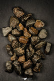 21639 -  NWA L-H Type Unclassified Ordinary Chondrite Meteorites Lot 200g